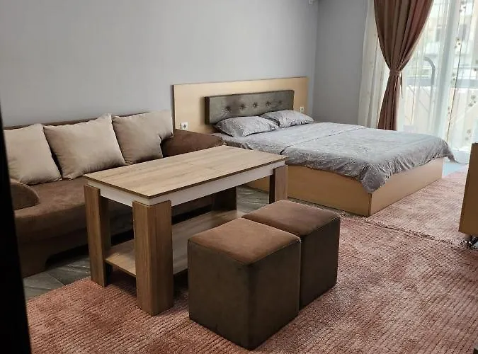 Lejlighed Ivana Sandanski